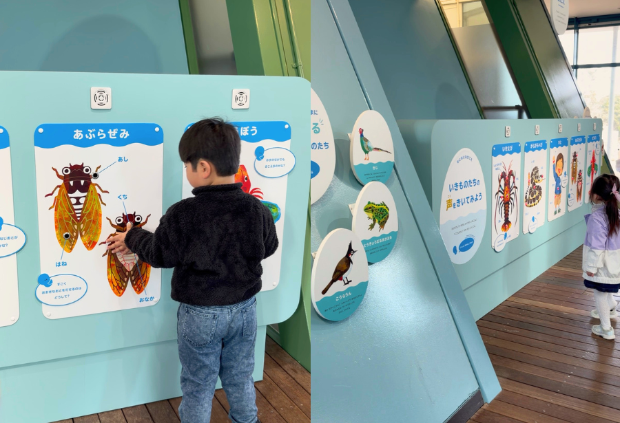 fureru-アクアマリン福島